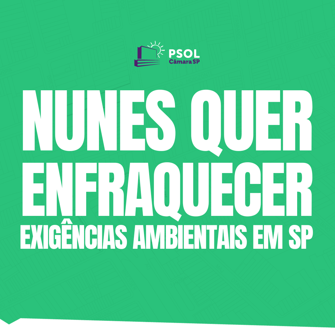 Revisão da Lei de Zoneamento enfraquece exigências ambientais em SP